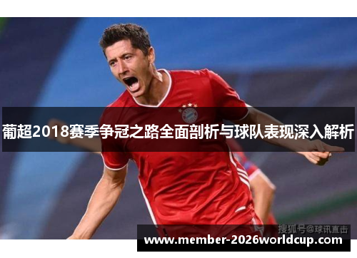 葡超2018赛季争冠之路全面剖析与球队表现深入解析