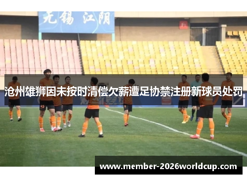 沧州雄狮因未按时清偿欠薪遭足协禁注册新球员处罚 沧州雄狮因未按时清偿欠薪遭足协禁注册新球员处罚
